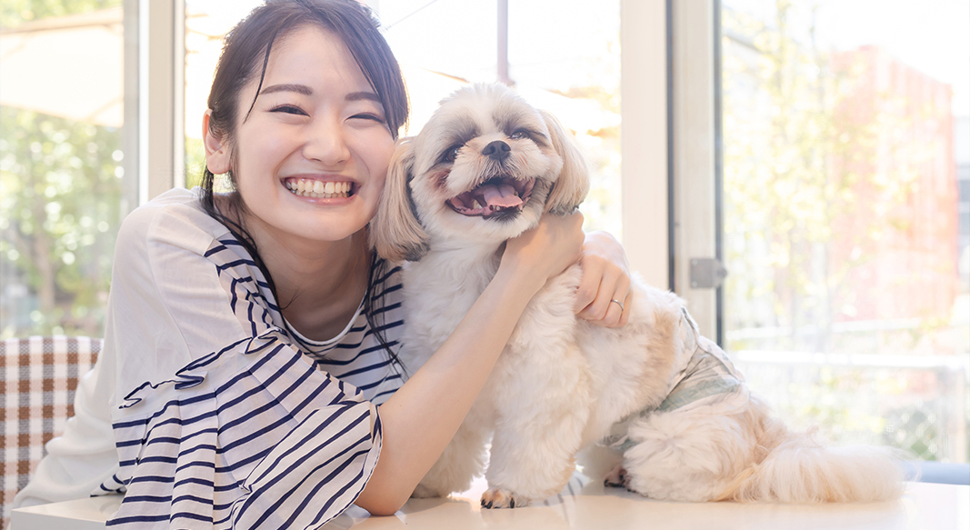 松山のペット可賃貸